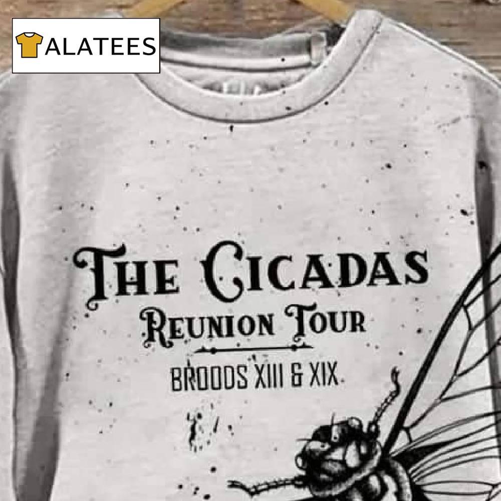 The Cicadas Reunion Tour 2024 Comfy Sweatshirt